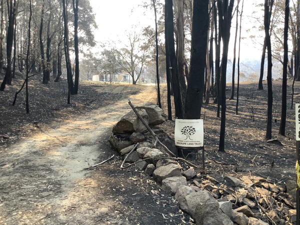 Black summer bushfires