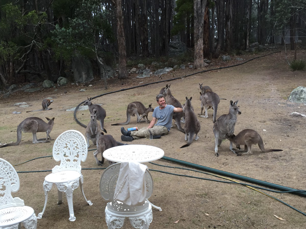 our joeys