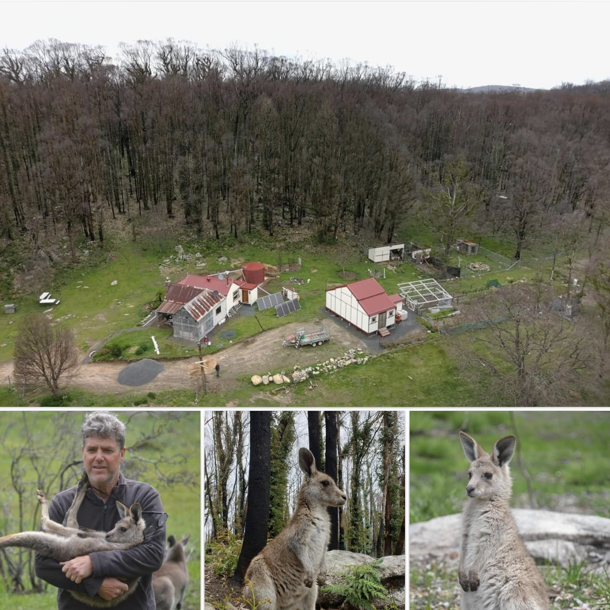 Humane Society International Australia visit our sanctuary